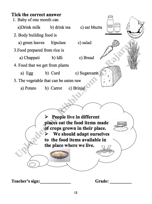 O Water Class 3 Evs Chapter 3 Worksheet - Ncert Solutions For Class 3 Evs Water O Water Msr Blog ...