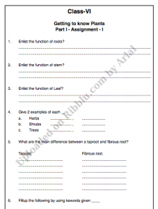 CBSE Class 6 Science Worksheets