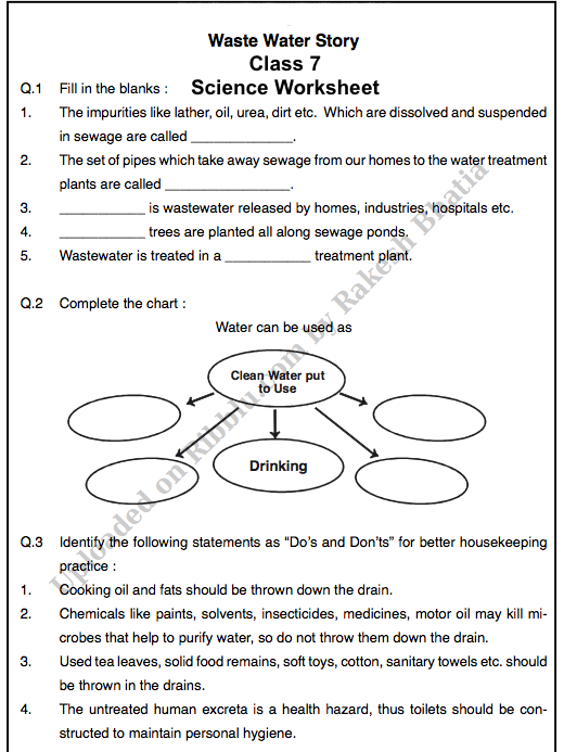 Free Science Worksheet for Class 7 in PDF 