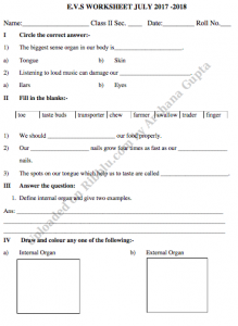 CBSE Class 2 EVS Worksheets - Free