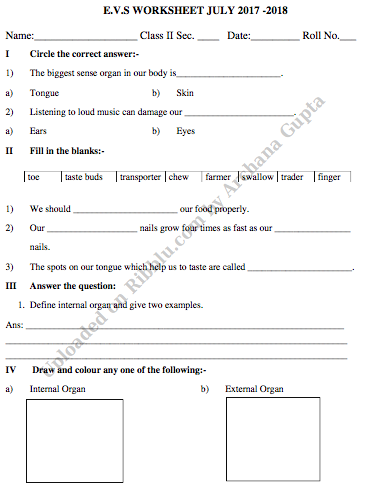 Evs Worksheet For Grade 3 / Cbse Class 3 Evs What Is ...