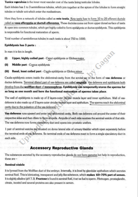 CBSE Class 12 Biology Notes Chapter wise in PDF Free download