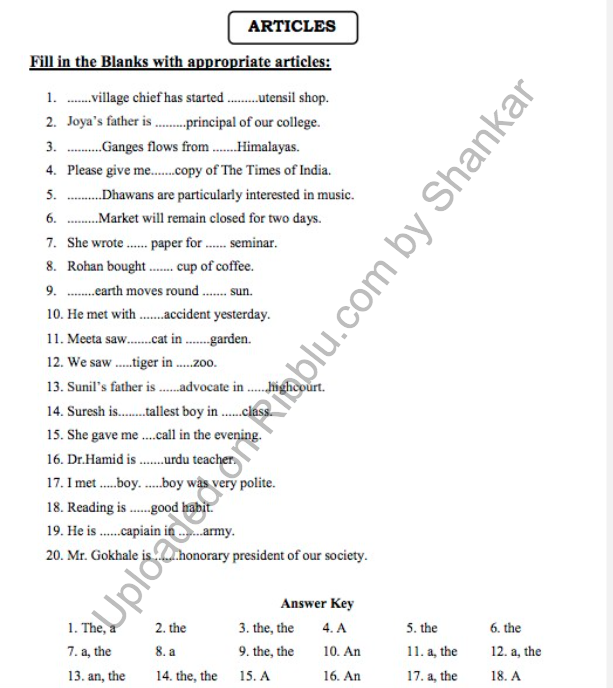 articles-worksheet-for-cbse-class-2