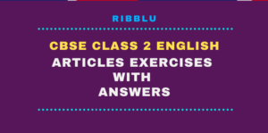 Articles Worksheet for CBSE Class 2