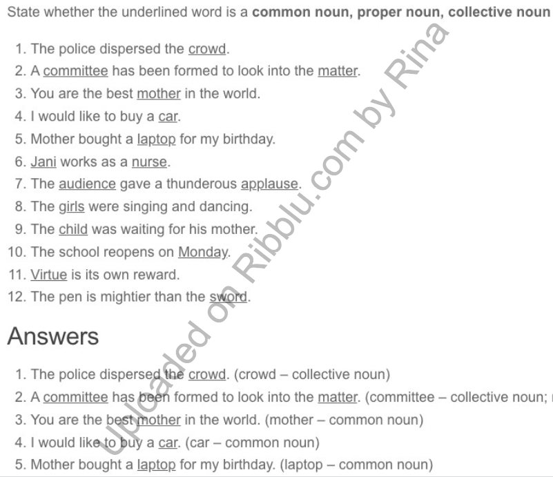 Noun Worksheets for CBSE Class 5 in PDF 