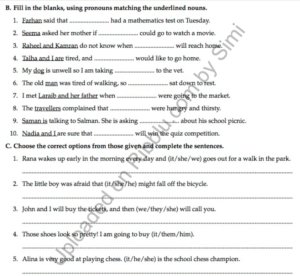 Pronoun Exercises for CBSE Class 3 in PDF format