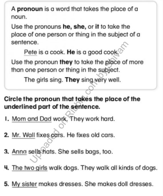 Pronoun Worksheets For Class 1 With Answers